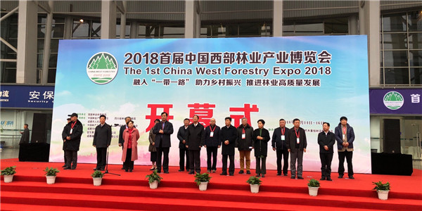 畅谈创新途径 林产工业打造发展新引擎